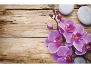 MAKRO – Predložka kúpeľňová 45x70cm Orchidea