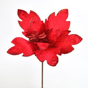 Kvet poinsettie červená zápich
