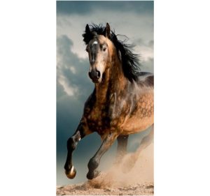 Bavlnená froté osuška HORSE 70x140 cm viacfarebná