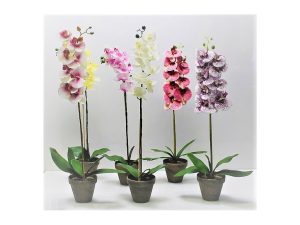 MAKRO – Orchidea umelá 63cm rôzne druhy
