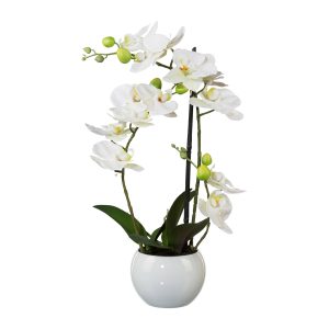Umelá Orchidea v kvetináči