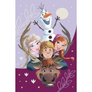 Jerry Fabrics Detská deka Frozen Family 03