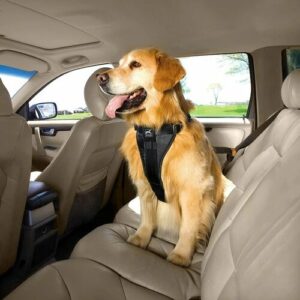 Kurgo Bezpečnostný postroj pre psy s pásom do auta