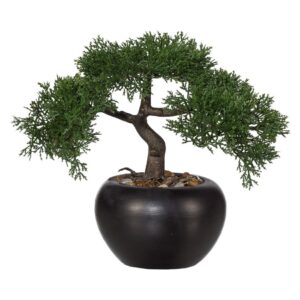 Umelý bonsaj Céder